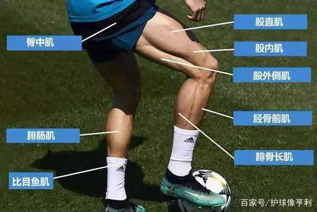 3_看图王.web.jpg