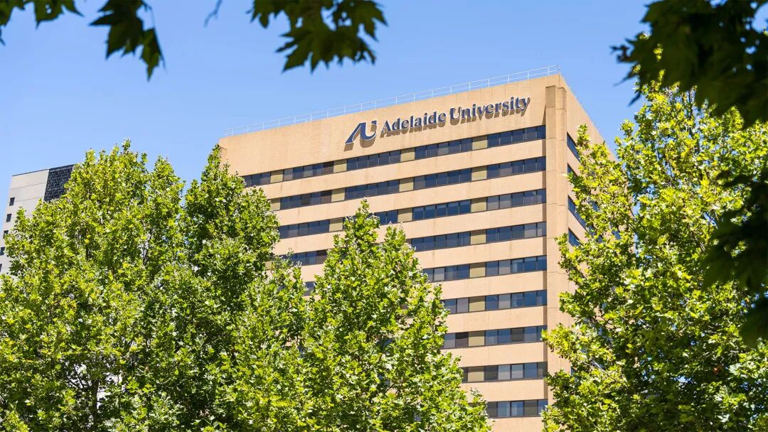 阿德莱德大学2026中国开放日｜上海站报名开启，5月见！