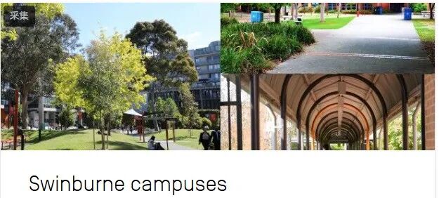 澳洲ATEC新政官宣！澳八大缩招，这所大学却笑了——SUT坐拥新政红利，留学生利好！