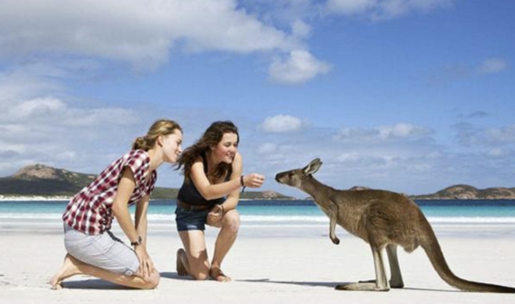 澳大利亚旅游管理专业排名：洞察优势与潜力